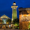 disney springs